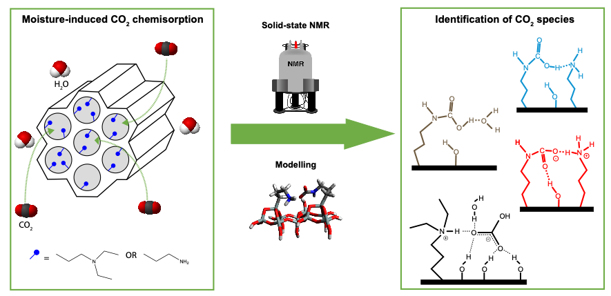 understanding the influence of water in co2 speciation on the surface of porous aminosilicas