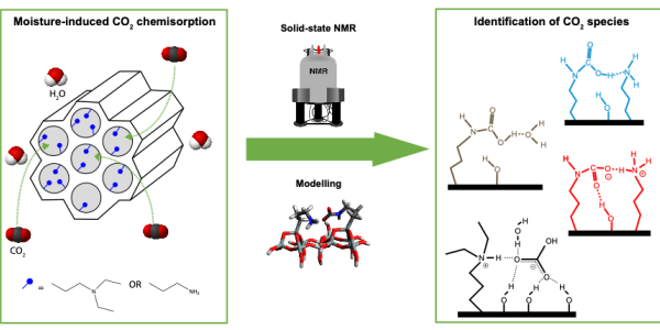 Understanding the influence of water in CO2 speciation on the surface of porous aminosilicas