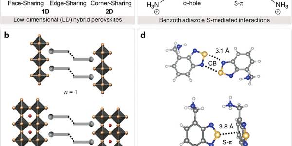 From Chalcogen Bonding to S–π Interactions in Hybrid Perovskite Photovoltaics